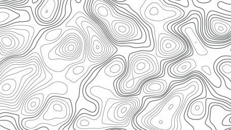 Flowing Lines in Monochrome Elegance wallpaper
