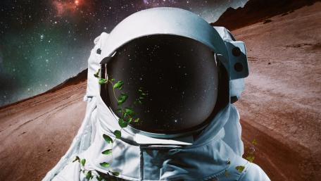 Journey Through Cosmic Dreams wallpaper