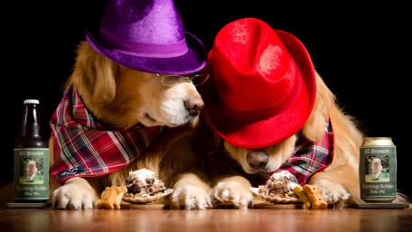 Playful Golden Retrievers Dressed Up for Fun wallpaper
