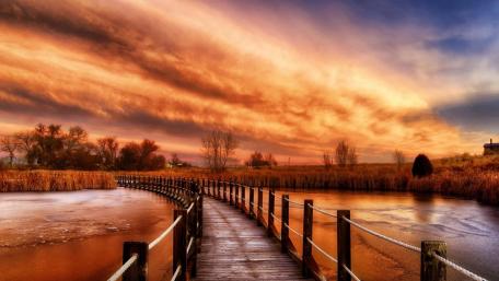 Autumn Blaze Over Serene Swamp Boardwalk wallpaper