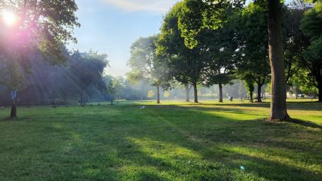 Marie Curie Park wallpaper