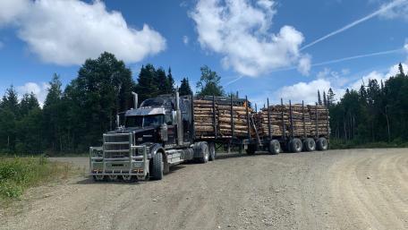 WesternStar wallpaper