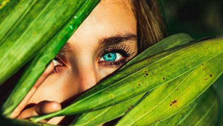 Enchanting Gaze Through Nature's Veil wallpaper