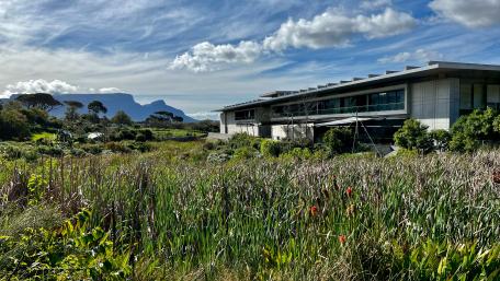 Art Gallery in Constantia wallpaper