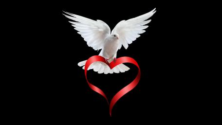 Elegant Love Symbol of a Dove in Flight with Heart Ribbon wallpaper