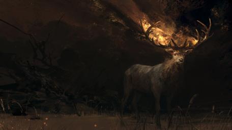 Mystical Stag in the Shadows of Night wallpaper
