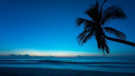 Whispers of Twilight by the Sea wallpaper