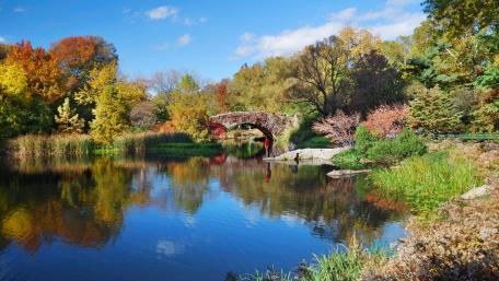Gapstow Bridge autumn scenery wallpaper