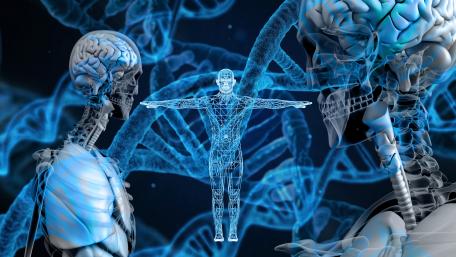 DNA Skeleton Illumination in Blue Realm wallpaper