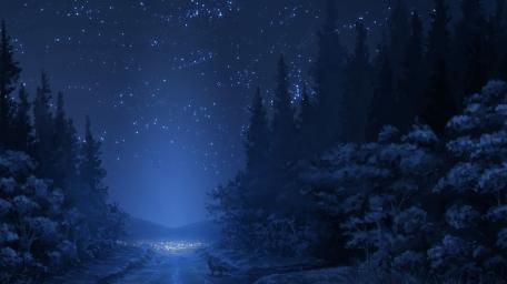 Enchanted Midnight Forest wallpaper
