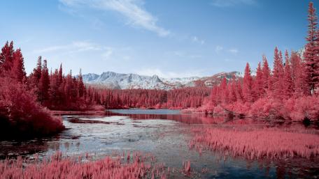 Serene Pink Landscape in 5K wallpaper