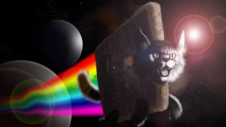 Cat in space wallpaper