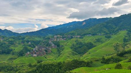 Terraced fields wallpaper