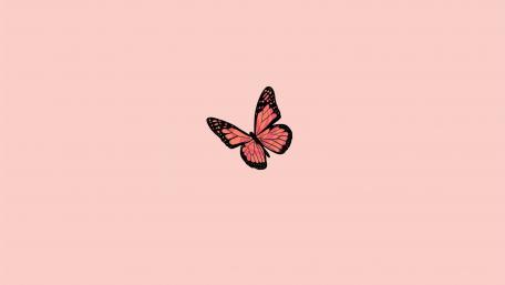 Butterfly in Pink Serenity wallpaper