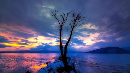 Solitary Majesty of a Winter Dusk wallpaper