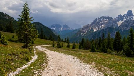 Tranquil Mountain Pathway in Nature's Embrace wallpaper