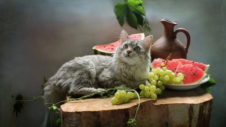 Whimsical Cat Among Summer Fruits wallpaper