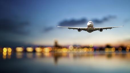 Soaring Through the Twilight Sky wallpaper