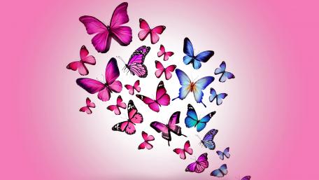 Colorful Butterfly Dreamscape in Pink Fantasy Flight wallpaper