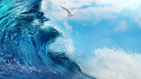 Majestic Ocean Waves and Soaring Seagull wallpaper