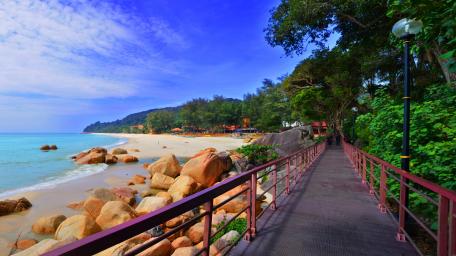 Scenic Coastal Boardwalk Journey wallpaper