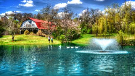 Spring Serenity by the Countryside Pond wallpaper