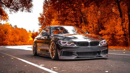 Sleek BMW in Autumn Bliss wallpaper