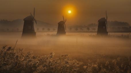 Serene Misty Morning in the Countryside wallpaper