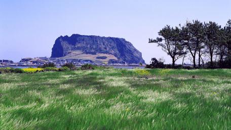 Serene Grassland View Beneath a Majestic Mountain wallpaper