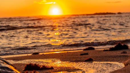 Golden Sunset Over Peaceful Shoreline wallpaper
