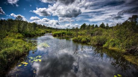 Serene River Reflections Under a Cloudy Sky wallpaper
