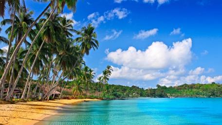 Tropical Paradise Escape wallpaper