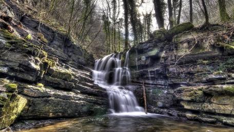Majestic Forest Waterfall Adventure wallpaper