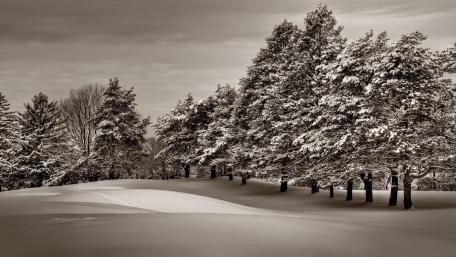 Winter Serenity in Monochrome Landscape wallpaper