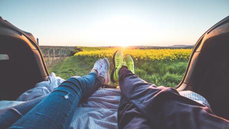 Sunset Picnic Bliss wallpaper