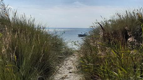 Serene Coastal Escape Amidst Lush Grasses wallpaper