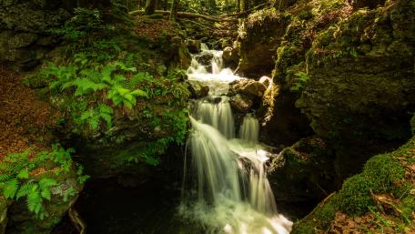 Serenity Awash in Verdant Falls wallpaper