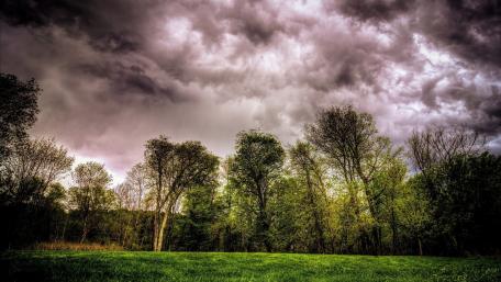 Mysterious Meadow Under Dark Clouds wallpaper
