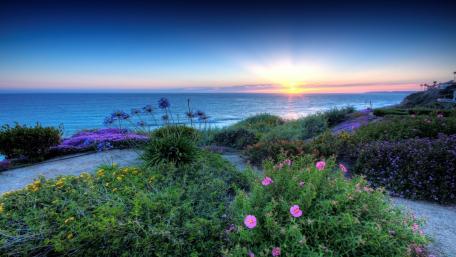 Serene Coastal Sunrise with Vibrant Flowers wallpaper