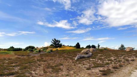 Serene Landscape Under a Bright Sky wallpaper