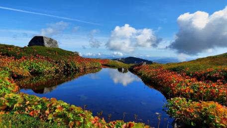Serene Reflections of Lakeside Beauty wallpaper