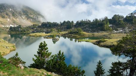 Serene Misty Lake Reflection in Nature's Embrace wallpaper