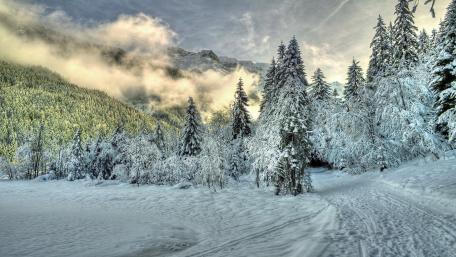 Serene Winter Wonderland Scene wallpaper