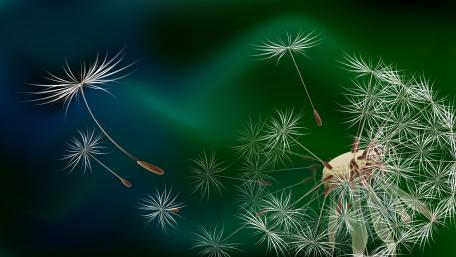 Whispers of Dandelion Dreams in Digital Art wallpaper