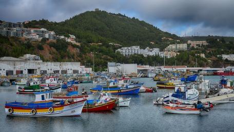 Vibrant Harbor Scene with Colorful Boats wallpaper