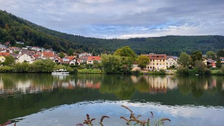 Neckar lake wallpaper