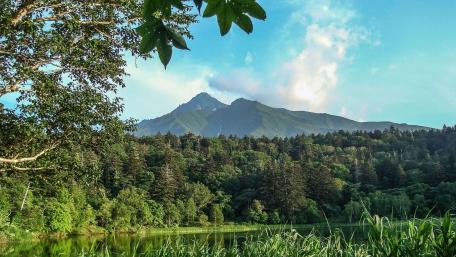 Serene Mountain Lake View Amidst Lush Greenery wallpaper