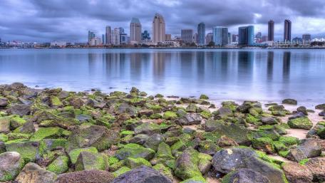 Serene Cityscape Reflected in the Lake wallpaper