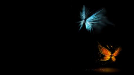 Ethereal Butterfly Dance in Darkness wallpaper