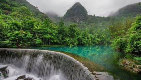 Chinese Jungle wallpaper